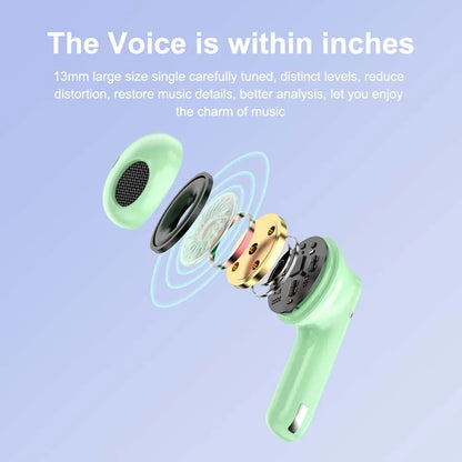 True Wireless Earbuds Pro